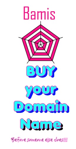 Bamis web hosting